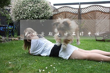 花呗逾期走访工作单位 花呗逾期走访工作单位