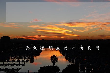 花呗逾期走访还有费用 花呗逾期走访还有费用