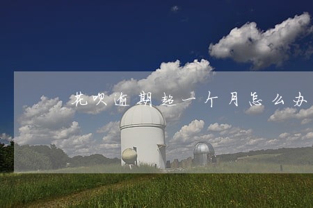 花呗逾期超一个月怎么办 花呗逾期超一个月怎么办
