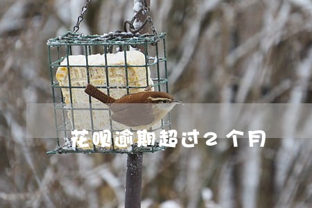 花呗逾期超过2个月 花呗逾期超过2个月