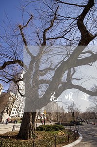 花呗逾期超过30天怎么办 花呗逾期超过30天怎么办