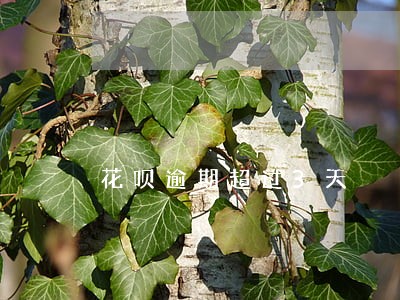 花呗逾期超过3天 花呗逾期超过3天