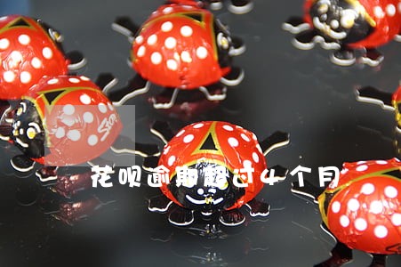 花呗逾期超过4个月 花呗逾期超过4个月