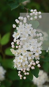 花呗逾期超过50多天了 花呗逾期超过50多天了