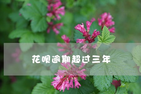 花呗逾期超过三年 花呗逾期超过三年
