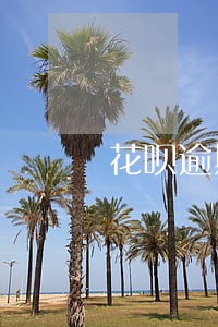 花呗逾期超过两个月 花呗逾期超过两个月