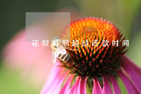 花呗逾期超过还款时间