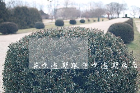 花呗逾期跟借呗逾期的后果 花呗逾期跟借呗逾期的后果