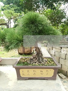 花呗逾期跟农村信用社贷款吗 花呗逾期跟农村信用社贷款吗