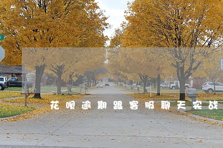 花呗逾期跟客服聊天实战 花呗逾期跟客服聊天实战