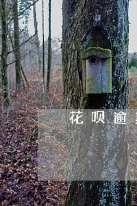 花呗逾期跟芝麻分有关系么 花呗逾期跟芝麻分有关系么