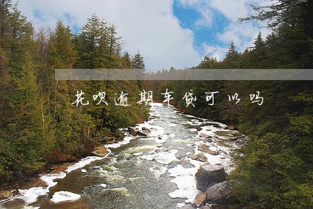 花呗逾期车贷可以吗 花呗逾期车贷可以吗