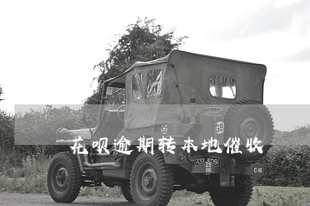 花呗逾期转本地催收 花呗逾期转本地催收