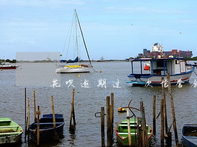 花呗逾期过一次信誉会恢复吗 花呗逾期过一次信誉会恢复吗