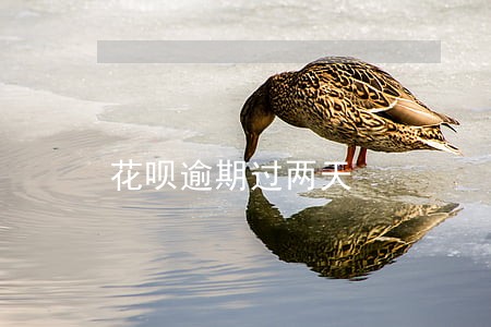 花呗逾期过两天 花呗逾期过两天