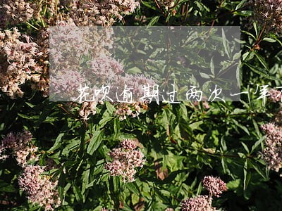 花呗逾期过两次一年有额度不可用 花呗逾期过两次一年有额度不可用