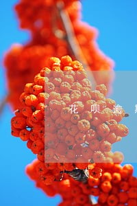 花呗逾期过久会安排人上门催收吗 花呗逾期过久会安排人上门催收吗