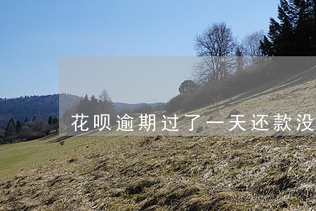 花呗逾期过了一天还款没事吧 花呗逾期过了一天还款没事吧