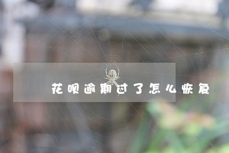 花呗逾期过了怎么恢复 花呗逾期过了怎么恢复
