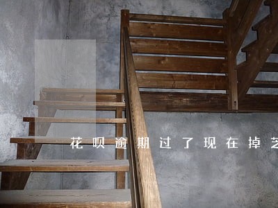 花呗逾期过了现在掉芝麻分了 花呗逾期过了现在掉芝麻分了