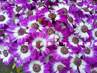 花呗逾期过什么时候恢复 花呗逾期过什么时候恢复