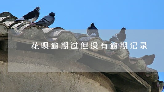 花呗逾期过但没有逾期记录 花呗逾期过但没有逾期记录