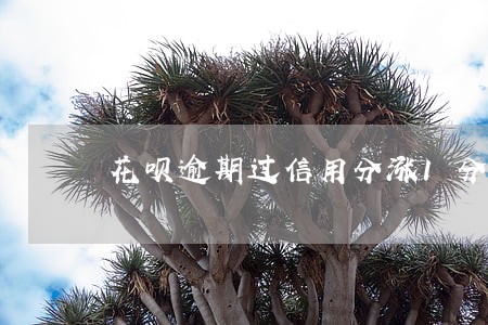 花呗逾期过信用分涨1分 花呗逾期过信用分涨1分