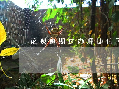 花呗逾期过办理捷信可以么 花呗逾期过办理捷信可以么