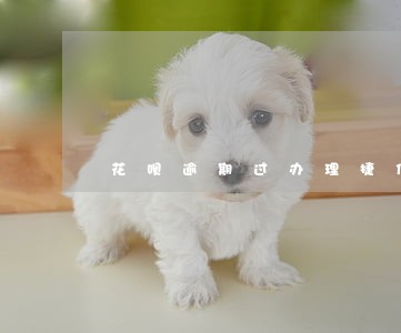 花呗逾期过办理捷信能下来么 花呗逾期过办理捷信能下来么