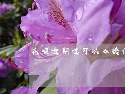 花呗逾期过可以办捷信吗 花呗逾期过可以办捷信吗