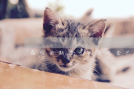 花呗逾期过可以贷现金巴士嘛 花呗逾期过可以贷现金巴士嘛