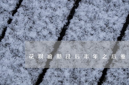 花呗逾期过后半年之后重开了