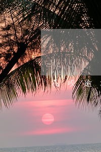 花呗逾期过后可以申请分期吗 花呗逾期过后可以申请分期吗