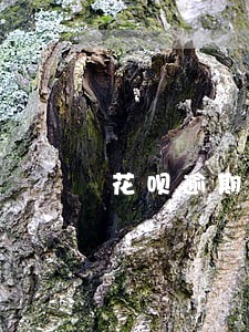 花呗逾期过后恢复了额度不提升 花呗逾期过后恢复了额度不提升