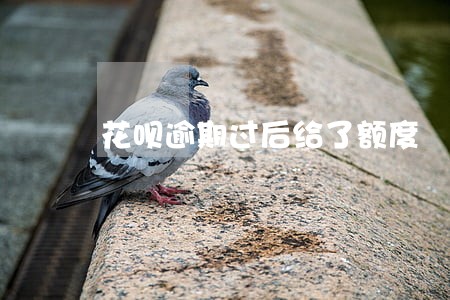 花呗逾期过后给了额度 花呗逾期过后给了额度