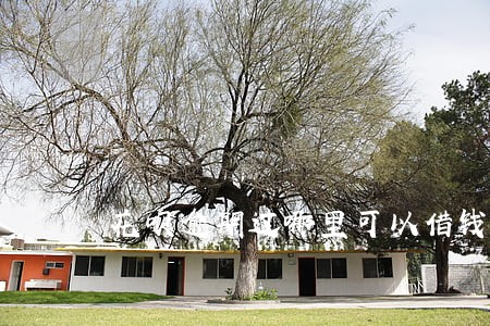 花呗逾期过哪里可以借钱 花呗逾期过哪里可以借钱