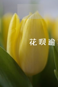 花呗逾期过备用金用不了怎么办 花呗逾期过备用金用不了怎么办