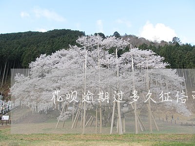 花呗逾期过多久征信可以恢复正常 花呗逾期过多久征信可以恢复正常