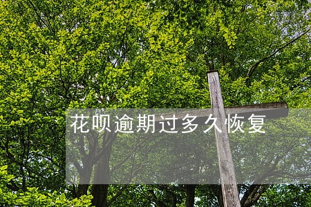 花呗逾期过多久恢复 花呗逾期过多久恢复