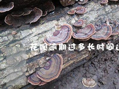 花呗逾期过多长时间还让用