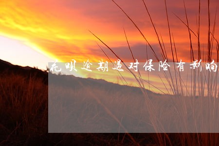 花呗逾期过对保险有影响吗 花呗逾期过对保险有影响吗
