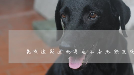 花呗逾期过就再也不会涨额度吗 花呗逾期过就再也不会涨额度吗