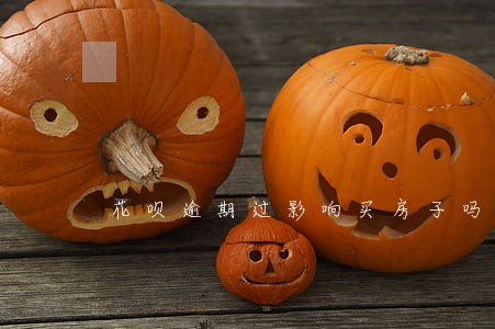 花呗逾期过影响买房子吗 花呗逾期过影响买房子吗
