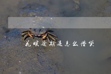 花呗逾期过怎么借贷 花呗逾期过怎么借贷