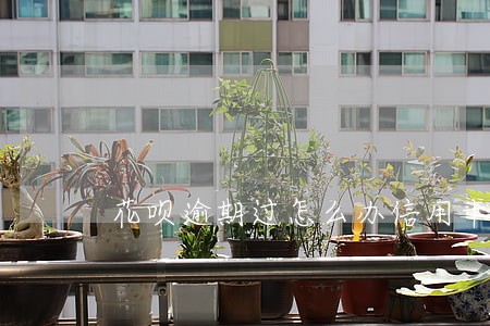 花呗逾期过怎么办信用卡 花呗逾期过怎么办信用卡