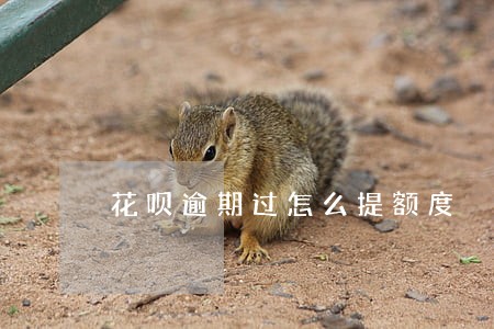 花呗逾期过怎么提额度