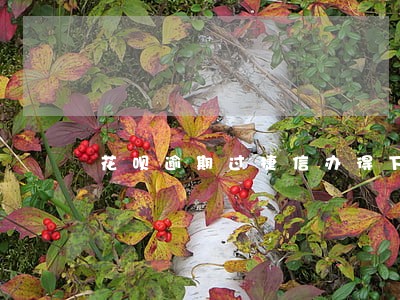花呗逾期过捷信办得下来吗 花呗逾期过捷信办得下来吗