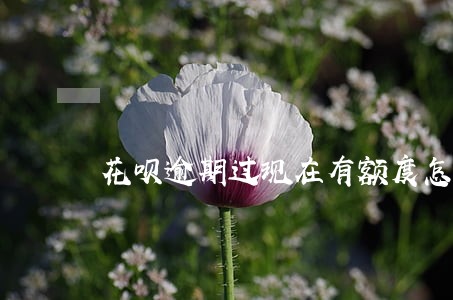 花呗逾期过现在有额度怎么不能用 花呗逾期过现在有额度怎么不能用