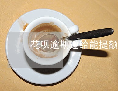 花呗逾期过给能提额度 花呗逾期过给能提额度