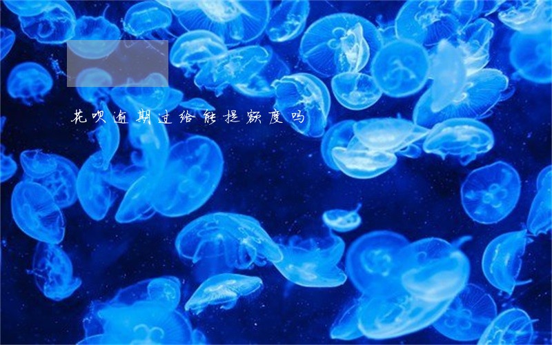 花呗逾期过给能提额度吗 花呗逾期过给能提额度吗